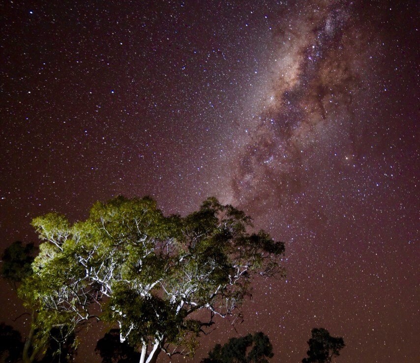 Contemplation and serenity