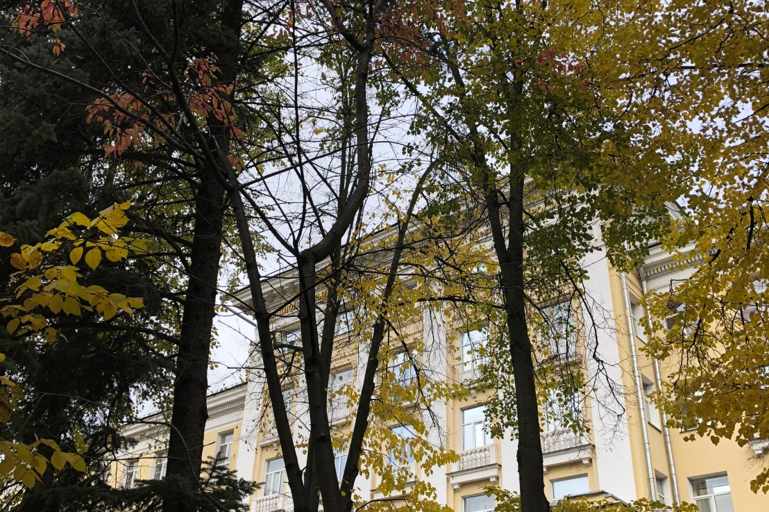 Last day of&nbsp;treatment