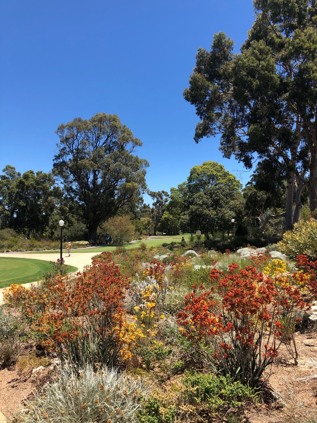 VfU0eIYgQziV5gGOdlikcA