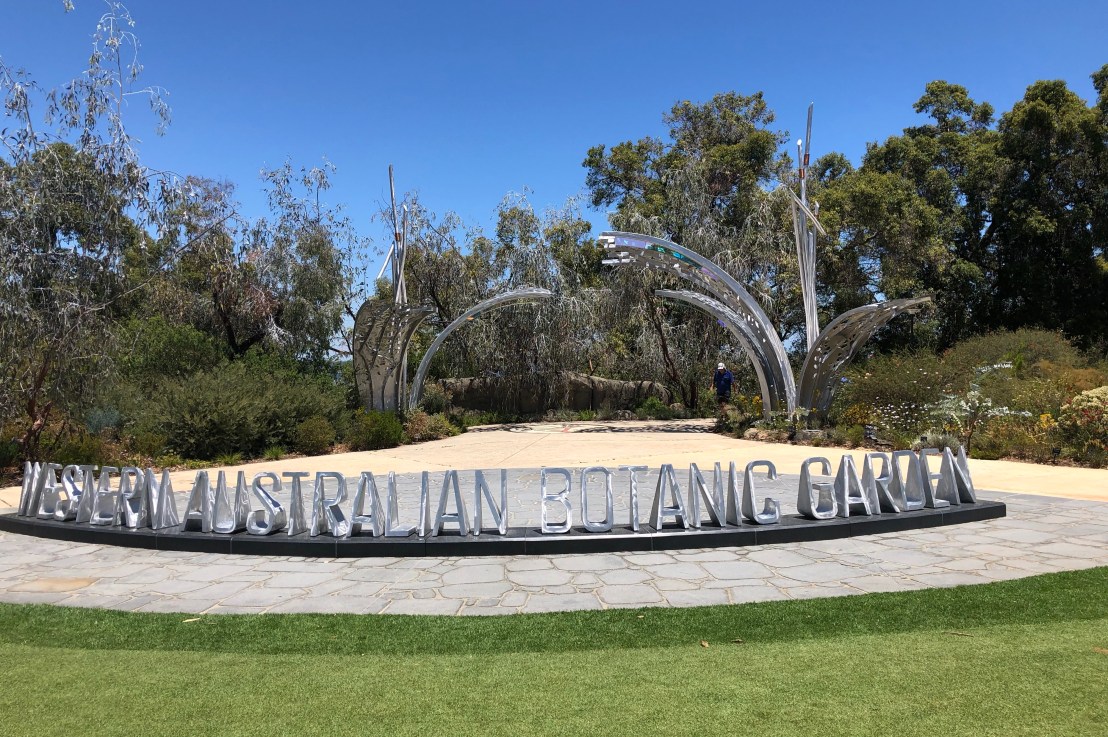 Spring in King’s Park & the roller&nbsp;coaster