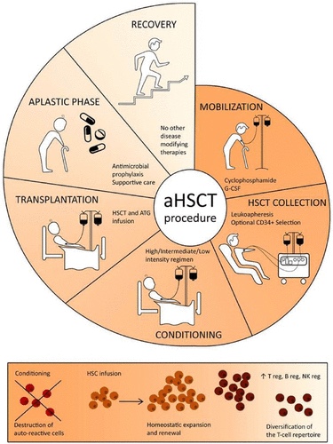 Back to normal&nbsp;life
