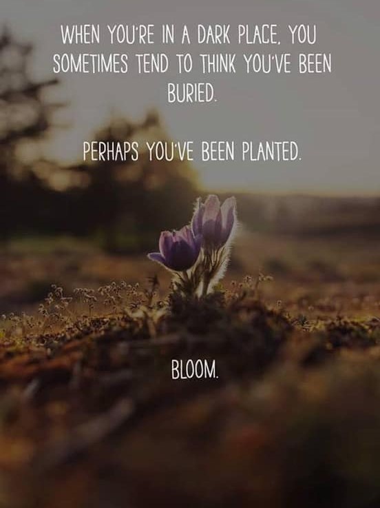 The MRI results are&nbsp;in