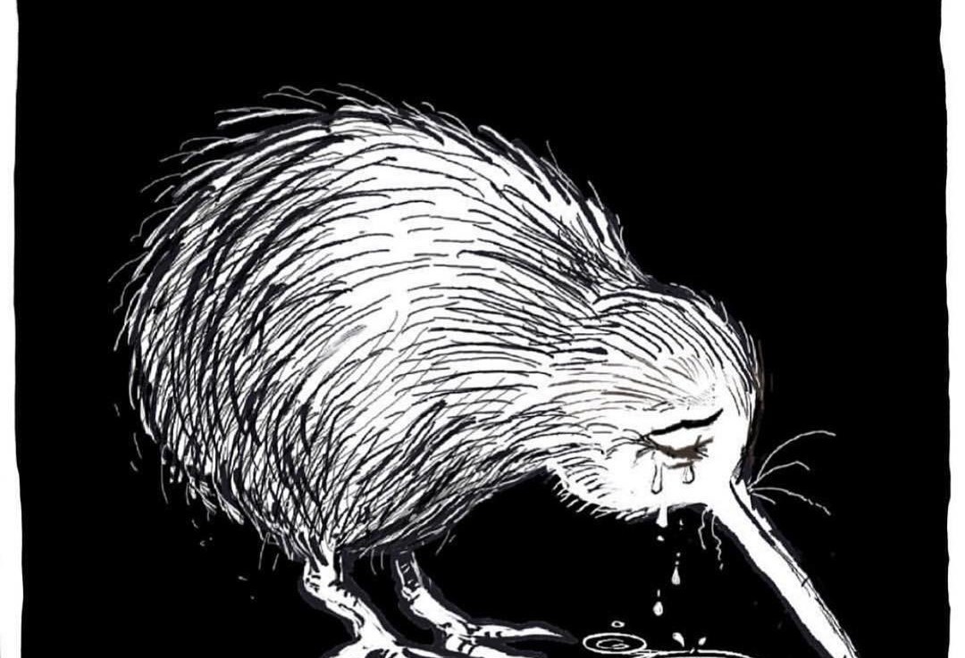 A tragedy in&nbsp;NZ