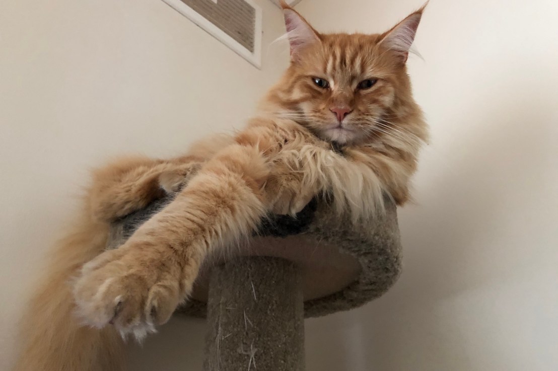 Onwards & upwards, with a few&nbsp;detours