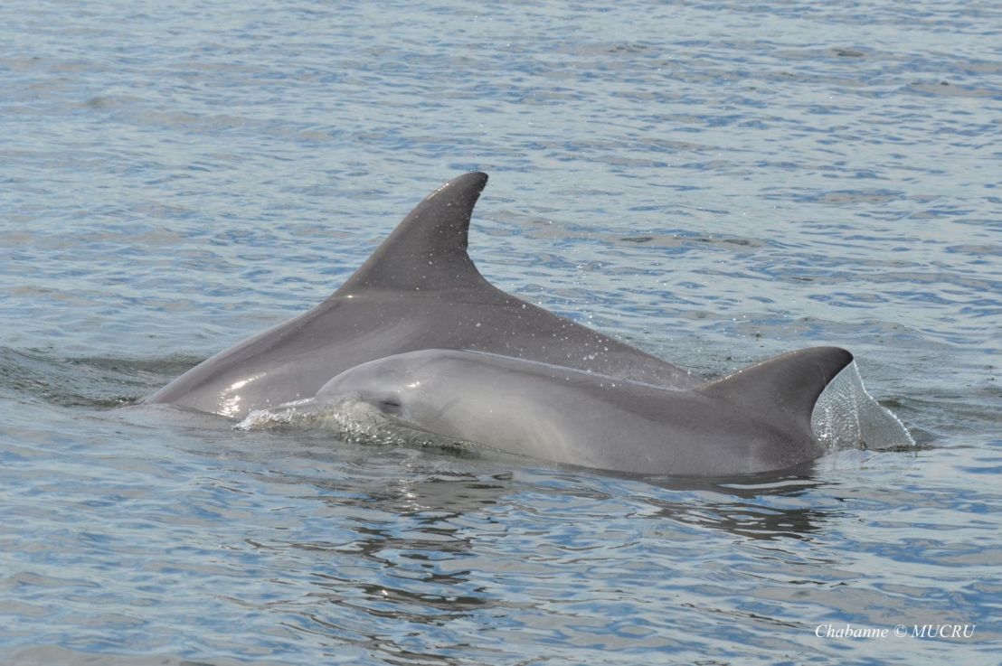 A pleasant morning’s&nbsp;kayak