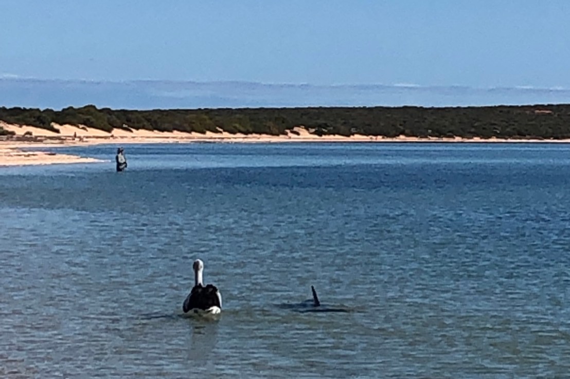 Monkey Mia and Shark&nbsp;Bay