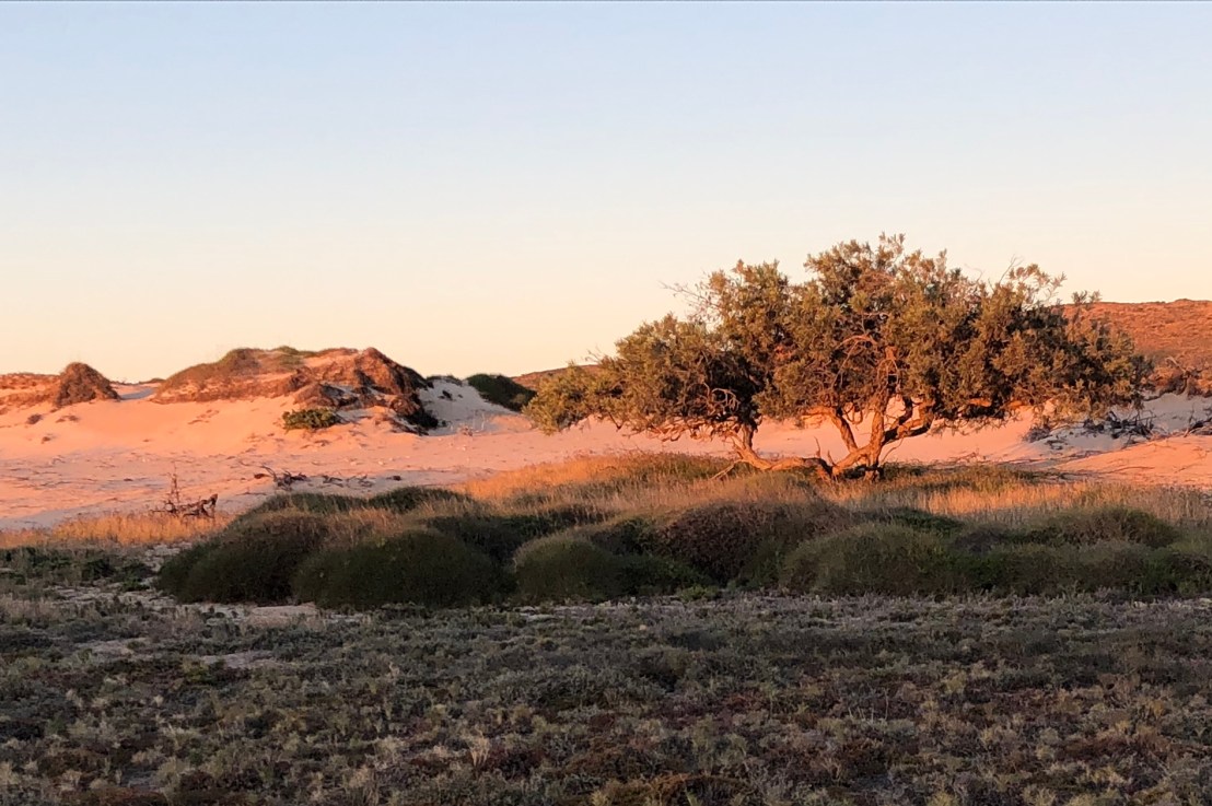 Ningaloo; harsh and&nbsp;beautiful