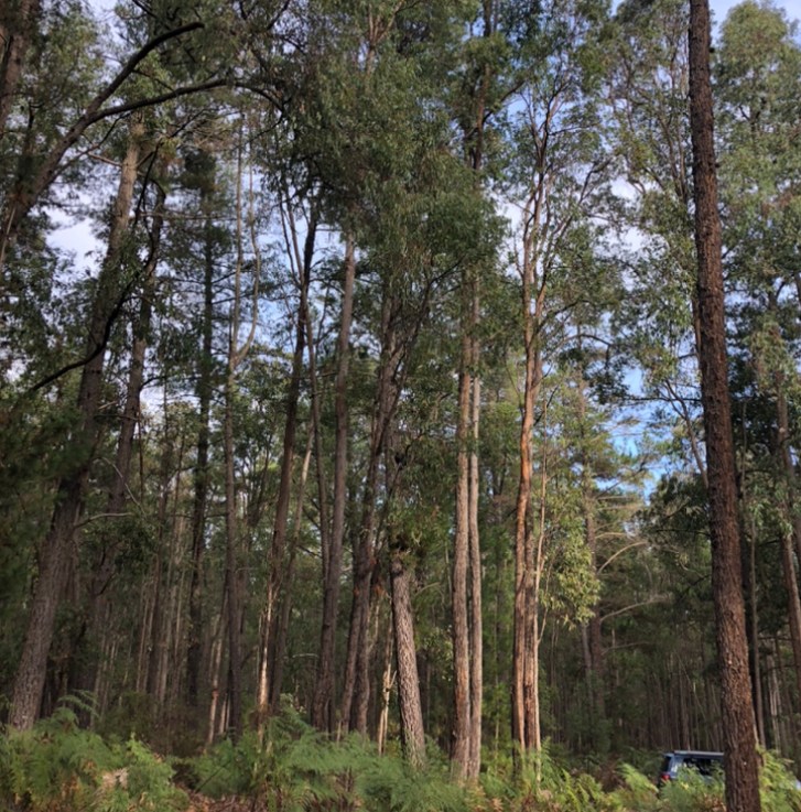 First outing from&nbsp;Perth