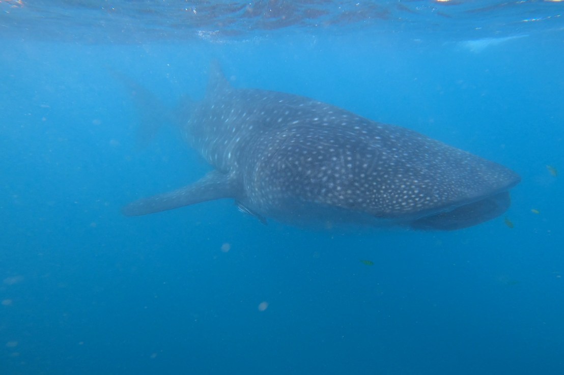 Kalbarri & Exmouth – photographs&nbsp;#1