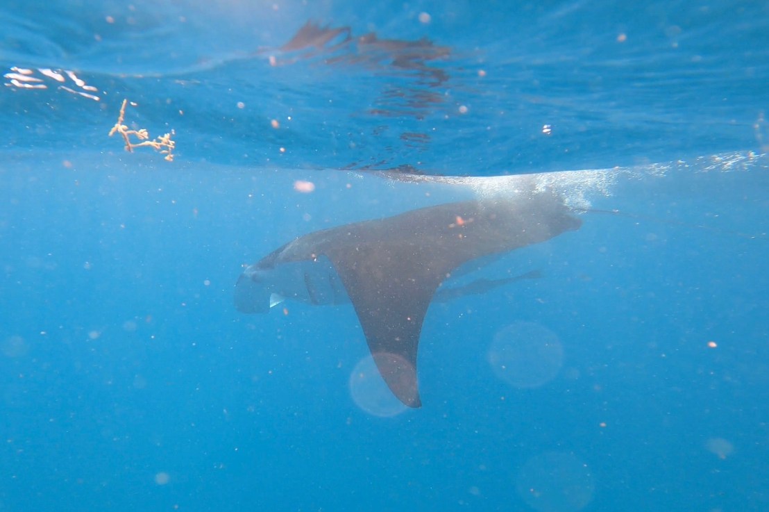 Kalbarri & Exmouth –&nbsp;#2