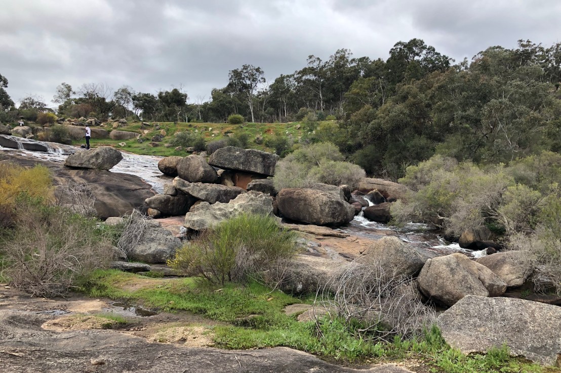 A walk in the&nbsp;park