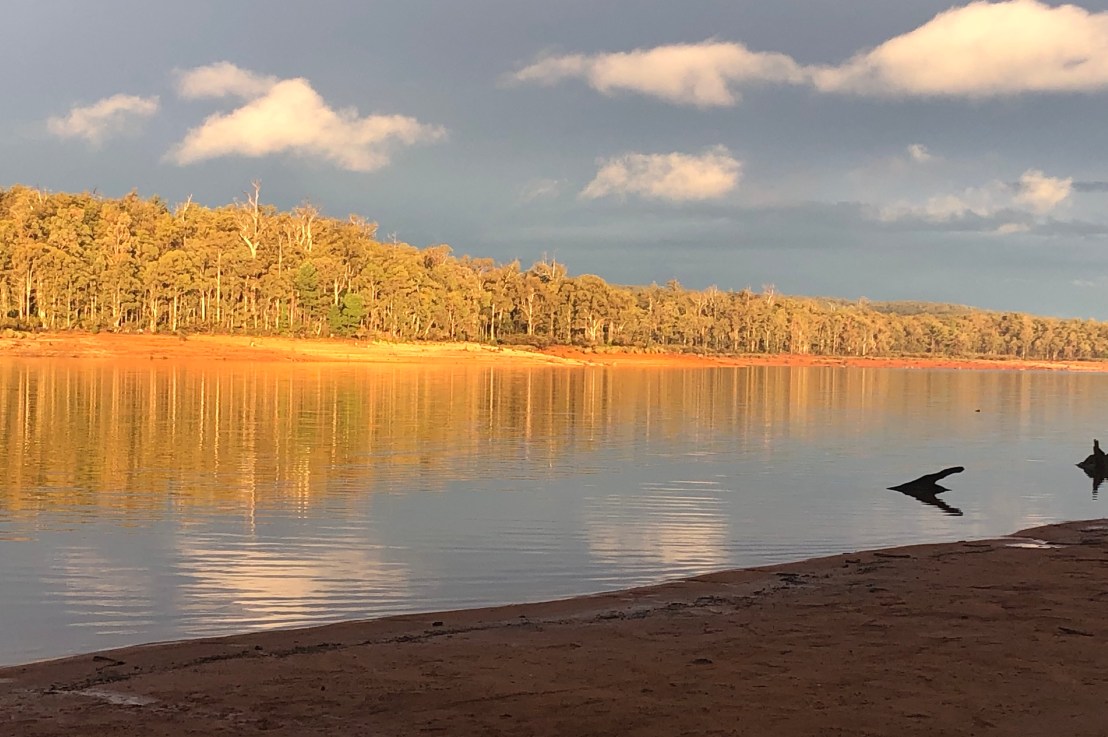 2 years post my stem cell&nbsp;transplant