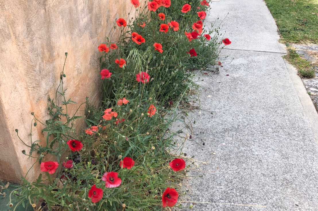 Sombre week, slowly&nbsp;improving