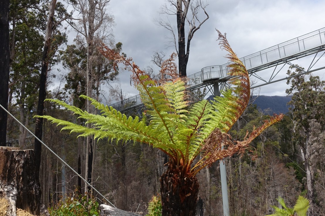 First couple of days in&nbsp;Tasmania