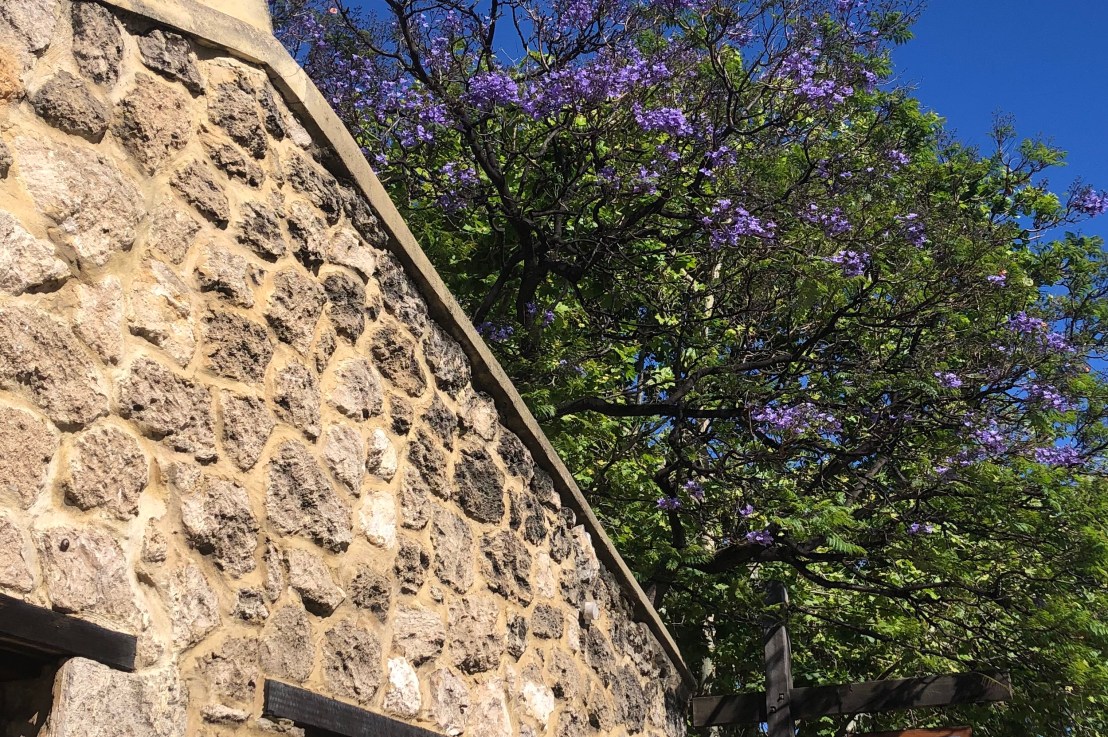 A pleasant breakfast