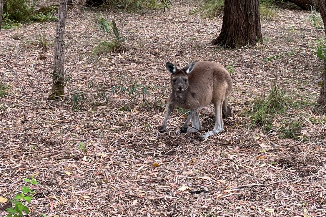 The start of&nbsp;2022