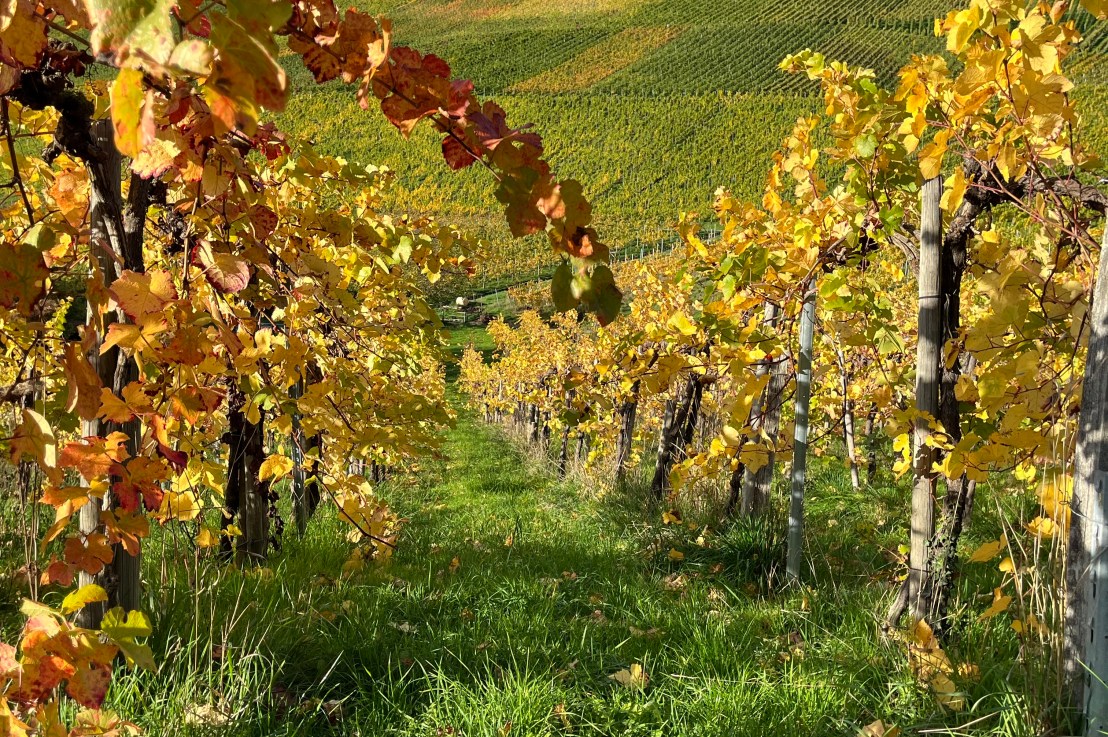 Autumn sunshine in&nbsp;Esslingen