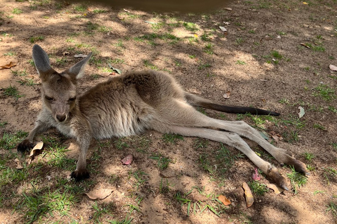 Recovering from COVID