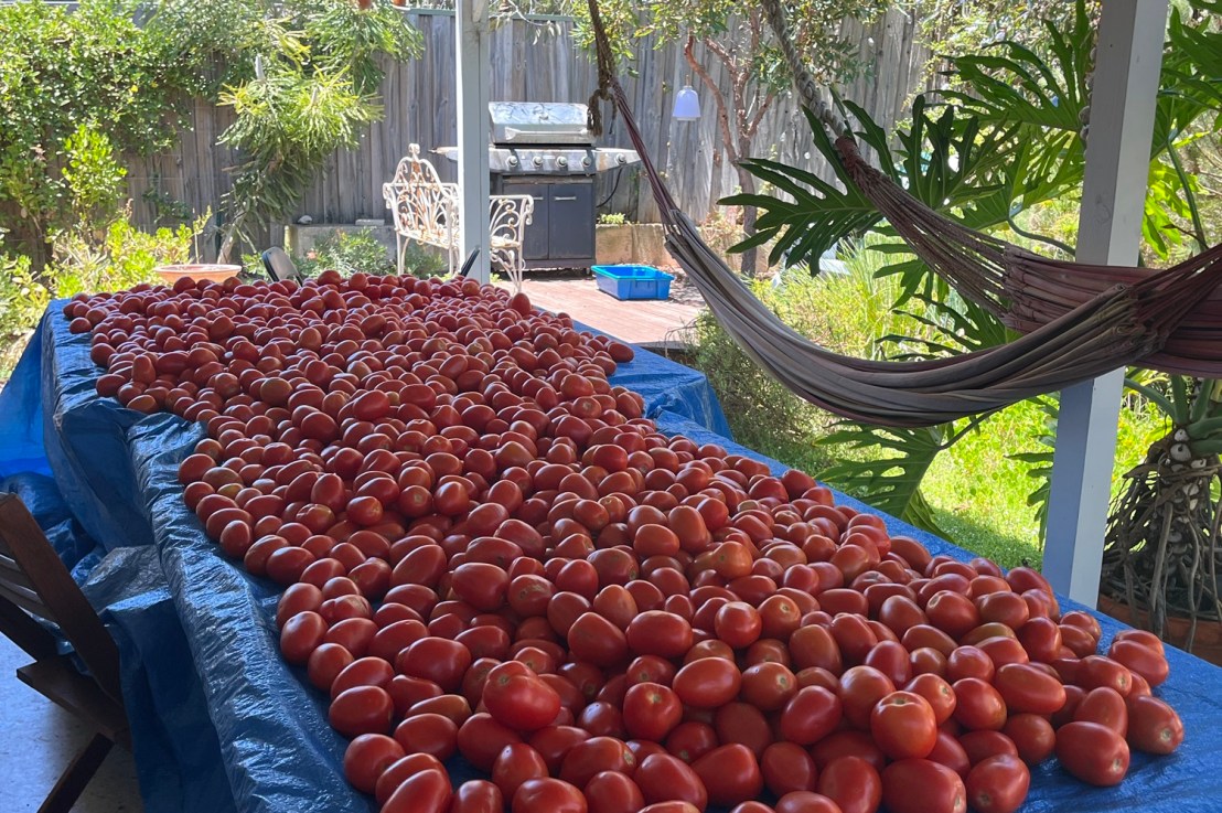 Australia Day, passata&nbsp;style