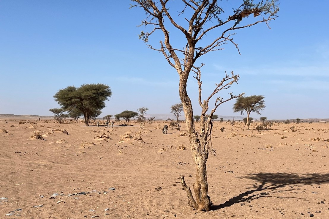 Desert views to&nbsp;Tata