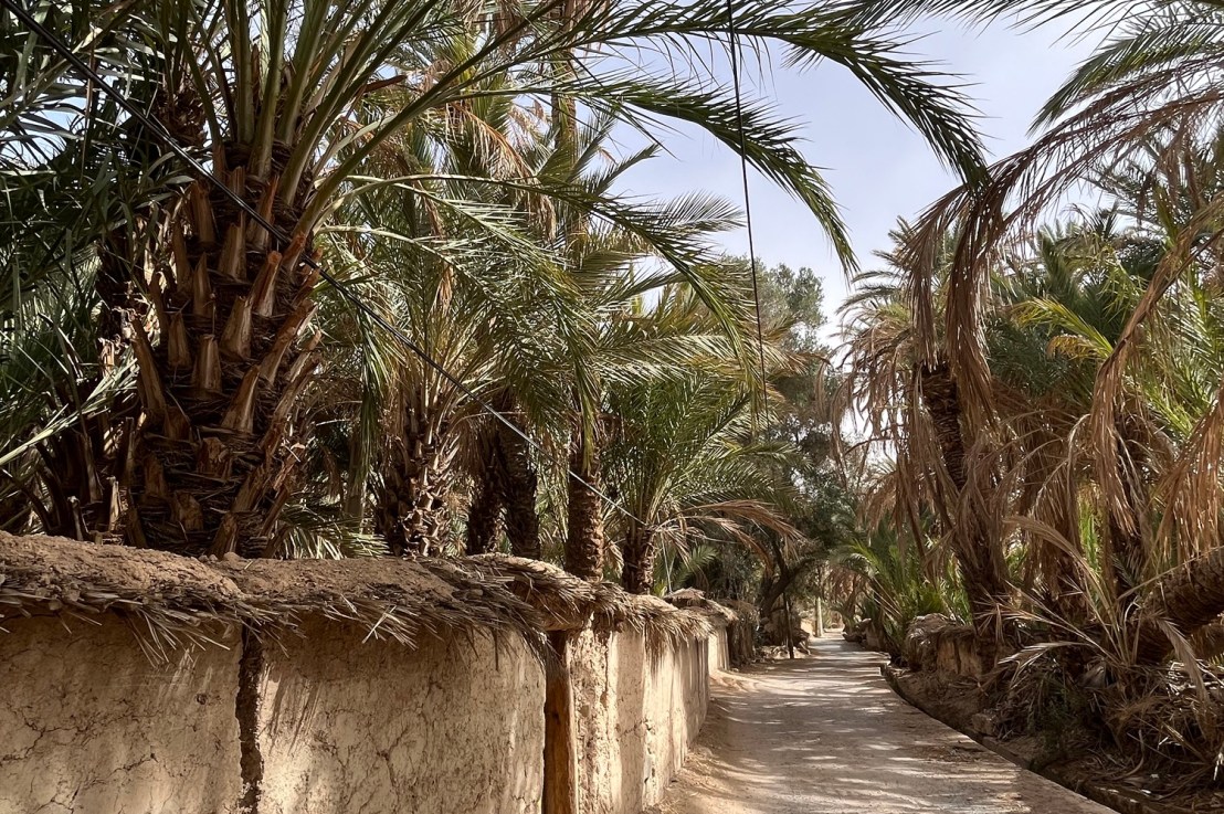 From desert to ocean through a sand&nbsp;storm