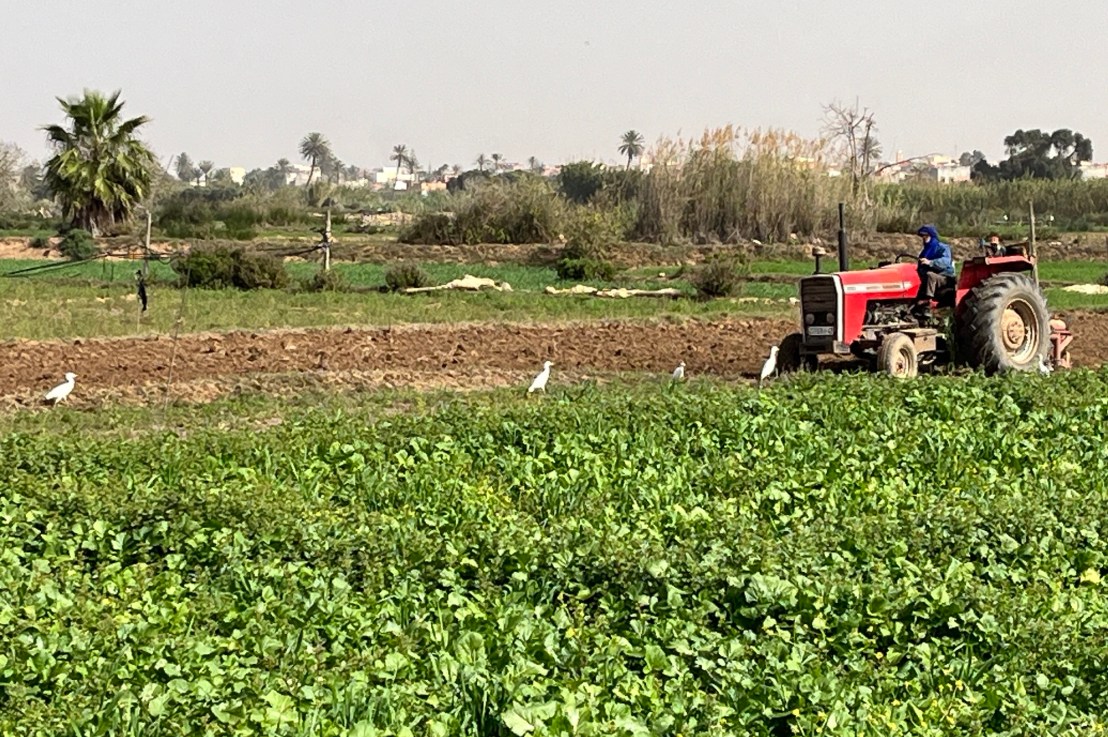 Working Morocco, around&nbsp;Taroudent