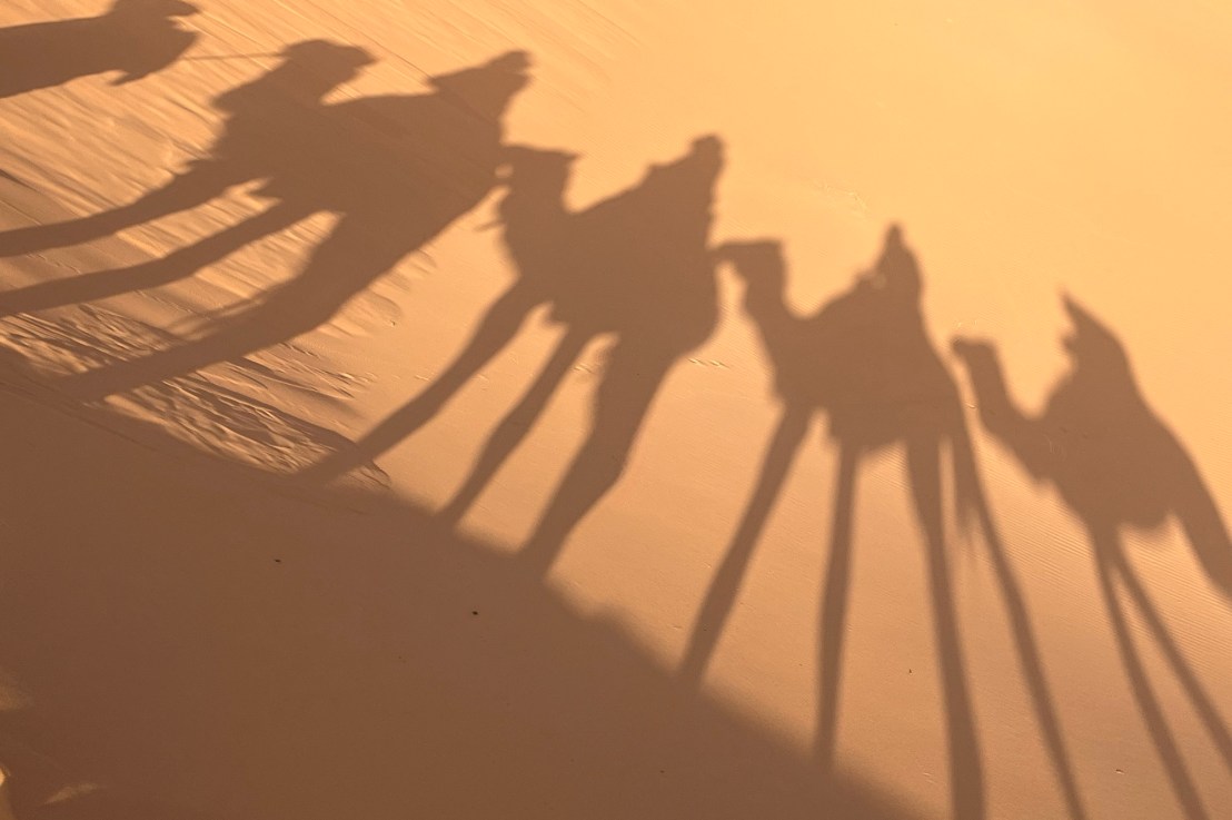 Back to civilisation