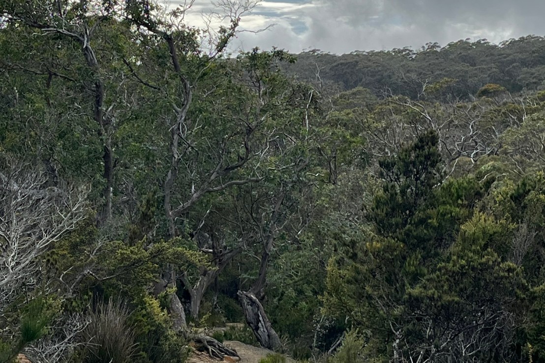 Reflections on the second&nbsp;day