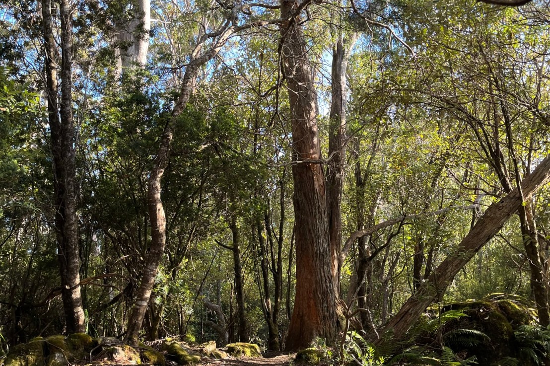 Day four and the walk&nbsp;completed