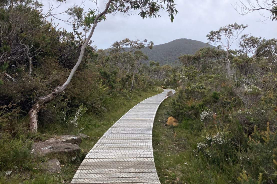 Day three, capes and&nbsp;forest