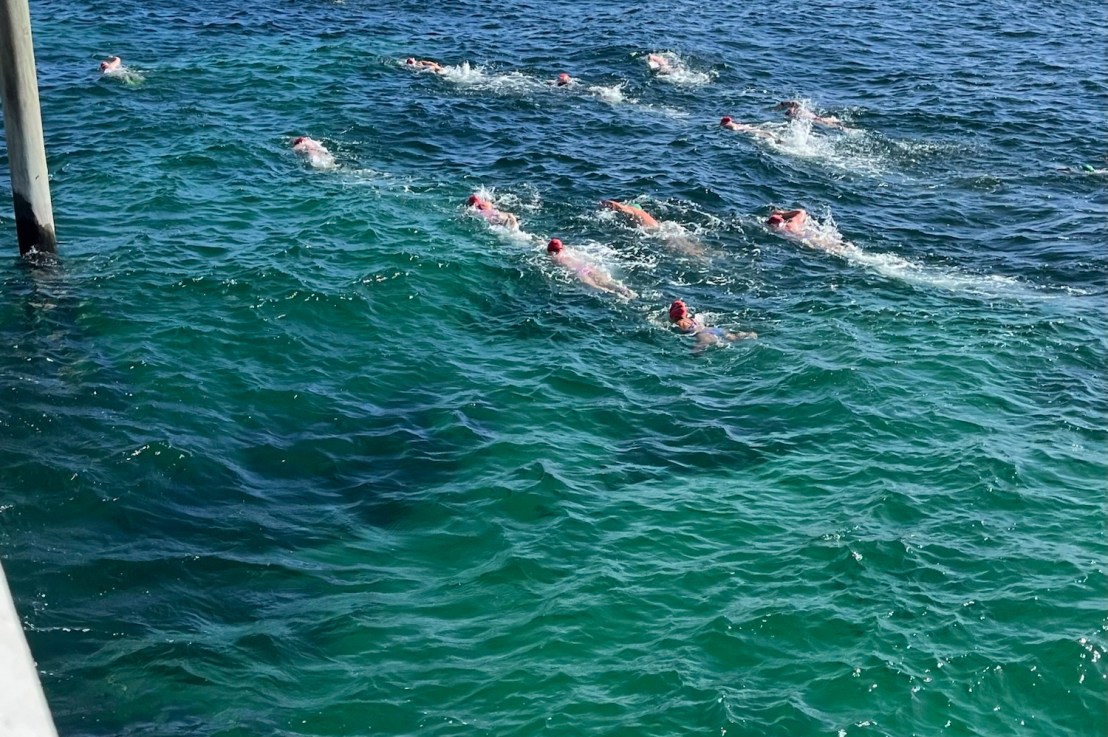 A rough swim but&nbsp;fun