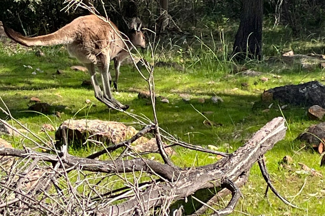 A couple of pleasant&nbsp;walks