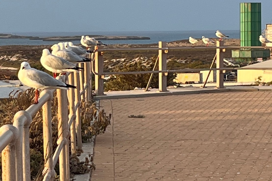 Moments on the&nbsp;island